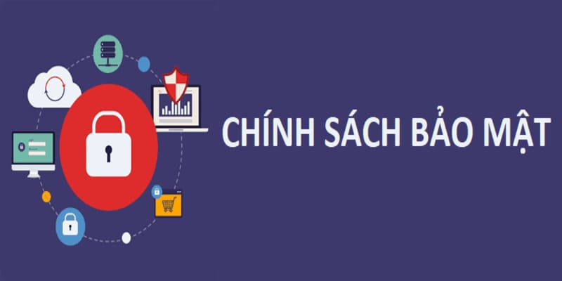 Giám sát hoạt động thành viên trên nền tảng liên tục