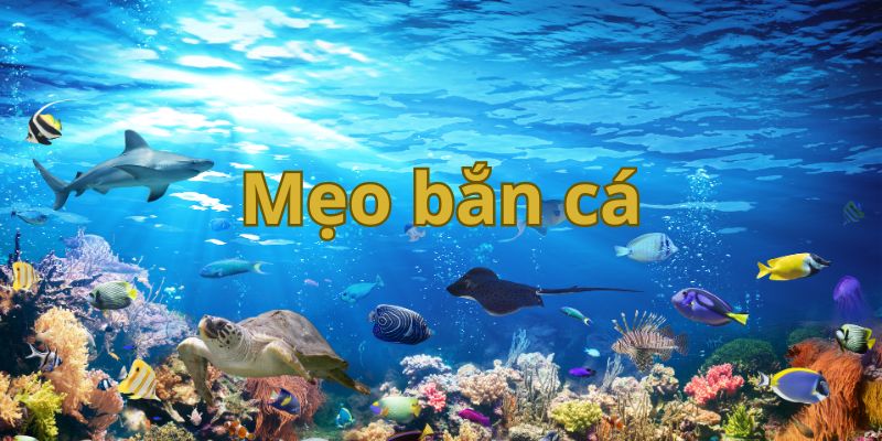 mẹo bắn cá