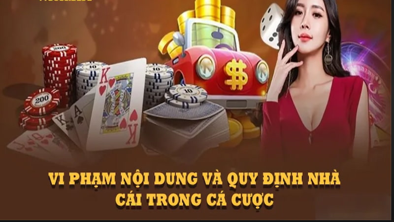 Vi phạm chính sách miễn trách nhiệm phải làm sao?