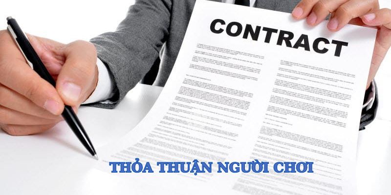 Thỏa thuận người dùng với banca30